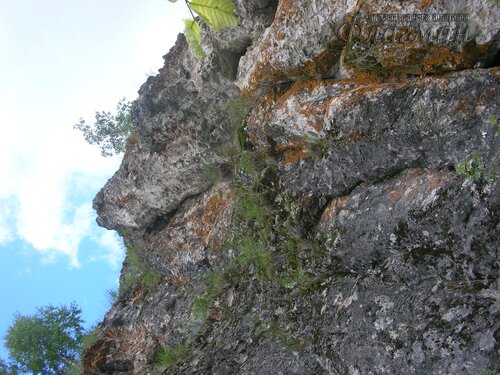 DSCN3638